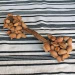 Double Side Seed Rattle ~ Maraca