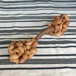 Double Side Seed Rattle ~ Maraca