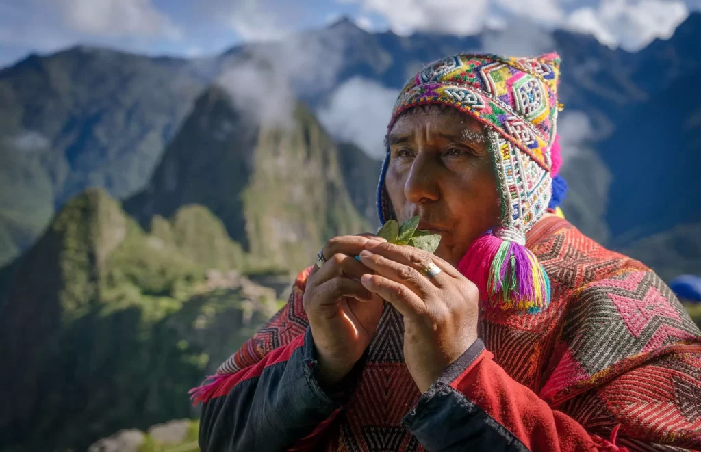 Machupicchu andean