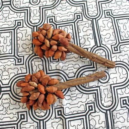 Seed Rattle ~ Maraca ( 40 Seeds ) | Handle part made from Amazon Rainforest Wood