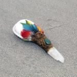 Ceremonial Rattle Owl Pattern