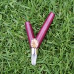 Kuripe Self Applicator Made of Rose Wood