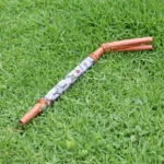 Double Nose Tepi Applicator made of Palo Sangre | Decorate Turquoise stone, A piece of Aya Vine and Shipibo Fabric