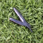 Hummingbird Kuripe Self Applicator Made of Machu Picchu Stone Washable