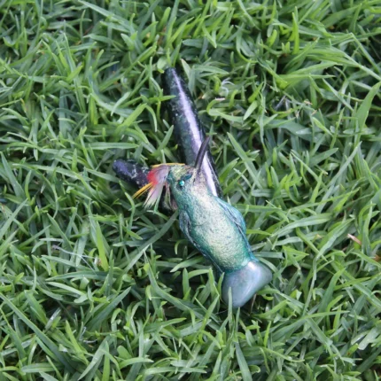 Hummingbird Kuripe Self Applicator Made of Machu Picchu Stone and Green Jade