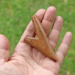 Single Block Kuripe Self Applicator| Made of Algarrobo | From Amazon Rainforest Pucallpa Peru | Ready to DIY