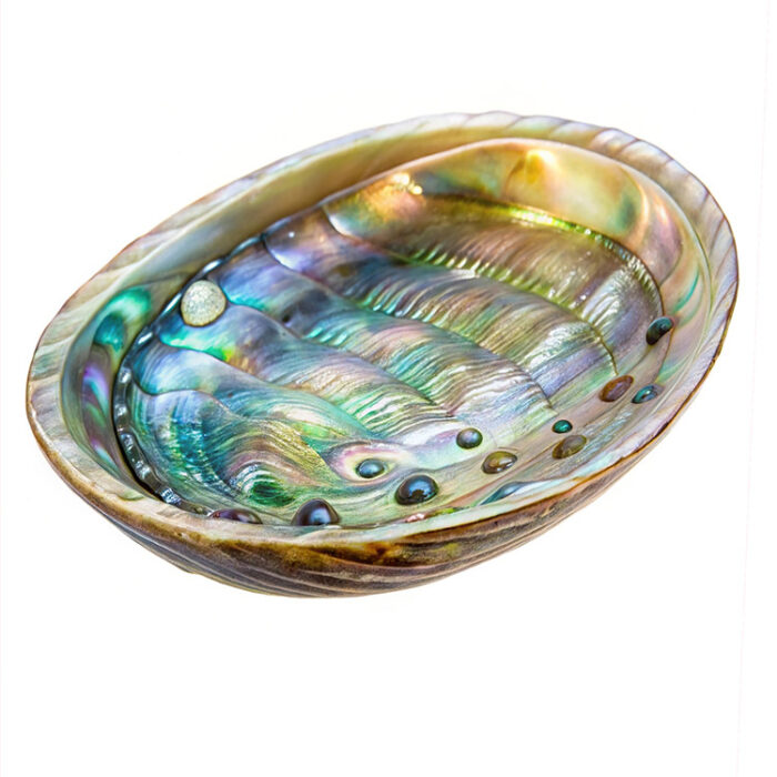 Radiant Abalone Shell Incense Burner – Create a Peaceful & Uplifting Atmosphere