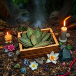 Blessed Bay Leaves Whole (Laurus Nobilis): Fortify Healing & Secure Divine Protection