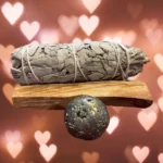 Money manifest it smudge kit