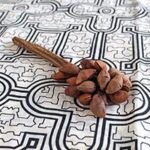 The Ceremonial Sacred Medicine Tools Shop 39 sees rettle 20 seeds 01